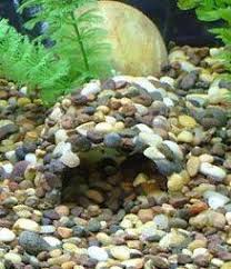 Natural Aquarium Cave Rock Decoration Kit Aquarium Aquascape Diy Kit Aquarium Safe All Natural Stone Organic Terr Fish Tank Diy Fish Tank Aquarium Fish Tank