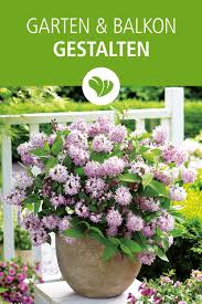 Beet Und Balkon Gestalten Mit Pflanzen Und Gartendeko In 2020 Pflanzen Garten Deko Garten