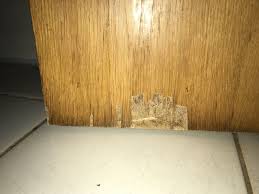 Funier Der Tur Blattert Ab