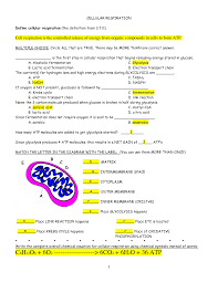 Cellular Respiration Review Worksheet Answers Cellular Respiration Photosynthesis And Cellular Respiration Biology Worksheet