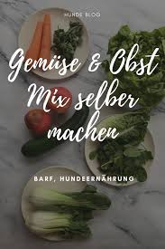 Gemuse Obst Mix Selber Machen And Soy Die Einfache Alternative Zu Mixer Entsafter Lill S Dog Blog Hunde Ernahrung Hundefutter Gesundes Hundefutter