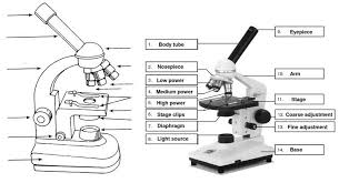 Parts Of Microscope Best Microscope Microscope Parts Coloring Pages For Kids