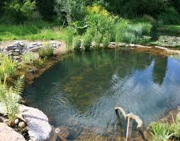 Cheap Decor Party Saleprice 32 Natural Swimming Pools Swimming Pond Natural Pond