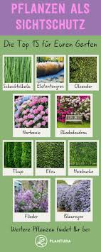 Pin On Container Garden