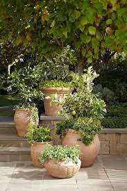 Wie Gestalte Ich Meinen Garten Im Italienischen Stil Garten Toskanischer Garten Garten Ideen