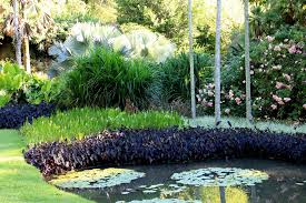 Jardim Do Lago Tropical Landscape Design Garden Landscape Design Landscape Design