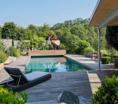 Livingpool Mit Holzdeck Und Liegeflache Naturpool Pool Livingpool Gartengestaltung Inspiration Holzdeck Haas Ausfreudeamgr Natur Pool Pool Privatgarten