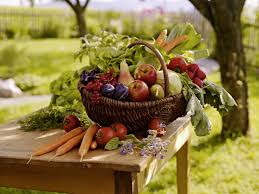 Presseburo Deutsches Obst Und Gemuse Startseite Obst Und Gemuse Obst Vegetarische Ernahrung