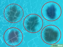 Flecken In Einem Swimming Pool Diagnostizieren Und Entfernen Wikihow