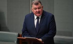 The royal australian college of. Greens Exploiting Tragedy To Pump Up Their Cult Craig Kelly Says As It Happened Australia News The Guardian