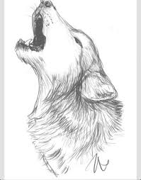 Wolf Howling Wolf Sketch Wolf Art Dieren Tekenen Wolf Schets Wolf Tekening