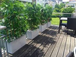 Kunstliche Bambushecke Als Sichtschutz Von Bellaplanta Terrassengestaltung Massanfertigung Unikat Indiv Bambushecke Terrassengestaltung Gartengestaltung