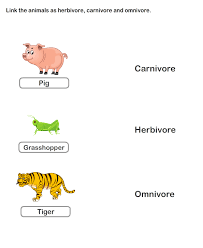 Science Worksheets Grade 1 Worksheets Food Chain Worksheet 4 Food Chain Worksheet 1st Grade Worksheets Science Worksheets