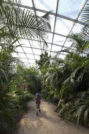 Gondwanaland Zoo Leipzig Leipzig Germany By Henchion Reuter Architekten Conservatory Garden Swimming Pool Enclosures Bird Aviary