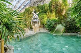 Einfach Abtauchen Wasserspass Unter Palmen Geniessen Entdeckt Jetzt Unser Tropisches Badeparadies Aqua Mundo Aquamundo Was I 2020