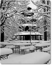 Englischer Garten Munchen Winter Winter Scenery Winter Wonder Germany Photography