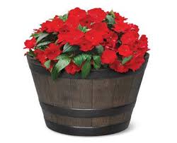 Gardenline Whiskey Barrel Planter Whiskey Barrel Planter Barrel Planter Whiskey Barrel Flowers