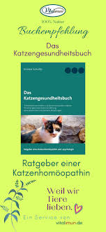 Katzengesundheit Krankheiten Vermeiden Und Das Immunsystem Starken In 2020 Katzengesundheit Immunsystem Katzen Ernahrung
