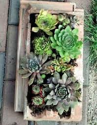 Alte Dachziegel Als Gartendeko Nutzen Frag Mutti Gartendekor Dachziegel Gartendekoration