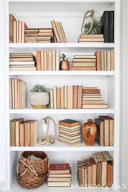 Cute Bookshelf Decorating Ideas Decorating Bookcases Bookshelf Decor Cute Shelf Decor Decorate Book Bookshelf Styling Bookshelf Decor Arranging Bookshelves
