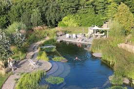 Ellicar Gardens Natural Pool Crystal Clear All Year Magnet For Wildlife Natural Swimming Pools Natural Pool Swimming Pond
