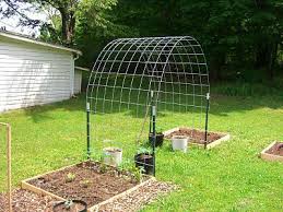 How To Build A Grape Vine Support The Natural Roof How To Build A Grape Vine Support The Natural Roof In 2020 Diy Garden Trellis Bean Trellis Garden Arch Trellis
