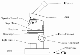 34 Label The Microscope Worksheet Labels Database 2020