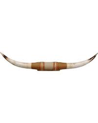 Authentic Large Steer Horns Sheplers Bull Horns Decor Cow Horns Decor Bull Horns Wall Decor
