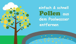 Pollen Im Pool Einfach Blutenstaub Aus Dem Pool Entfernen Lerne Die Schritte Um Pollen Schnell Und Einfach Aus Dem Poo Pool Algen Im Pool Trubes Poolwasser