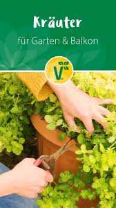 Krauterpflanzen Fur Garten Beet Balkon Video In 2020 Krauterpflanzen Petersilie Pflanzen Krauter