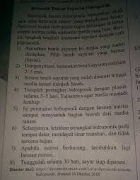 2 Tujuan Teks Prosedur Tersebut Adalah A Membuat Lahan Sempit B Menyemai Bibit Hidroponik C Brainly Co Id