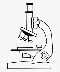 Collection Of Free Microscopes Drawing Label Clipart Microscope Drawing Hd Png Download Transparent Png Image Pngitem