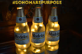 Modelo Especial Beer Bottle Light 3 Pack Frosted Glass Beer Bottle Lights Modelo Beer Beer Cake