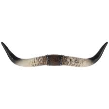 Longhorn Wall Decor Hobby Lobby 1790427 In 2020 Southwestern Home Decor Bull Horns Cow Wall Decor