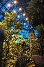 Botanic Garden And The Botanical Museum Berlin Dahlem Berlin Germany Botanical Gardens Buchart Gardens Atlanta Botanical Garden