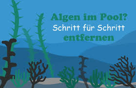 Algen Im Pool Richtig Entfernen Schritt Fur Schritt Anleitung Algen Im Pool Nur Algizid Und Chlor Hinzugeben Reicht Nicht Lerne Algen Im Pool Pool Algen