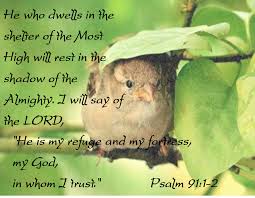 Psalms 91 1 4 Nlt 1 Those Who Live In The Shelter Of The Most High Will Find Rest In The Shadow Of The Almighty 2 Thi Psalms Psalm 91 1 Shadow Of The Almighty
