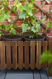 Hochbeete Ideen Fur Terrasse Balkon Garten In 2020 Hochbeet Garten Topf Und Kubelpflanzen