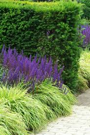 Wie Gestalte Ich Meinen Garten Im Italienischen Stil Garten Pflanzen Garten Garten Bepflanzen