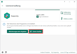 Aktivieren Von Kaspersky Internet Security 20