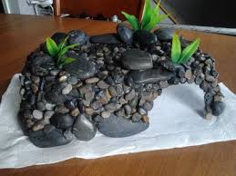 Pin On Fur Tiere Nager Vogel