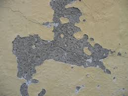 Farbe Blattert Und Platzt Beim Streichen Der Wand Oder Decke Ab Fachartikel Abplatzen Farbe Blattert Kreidet