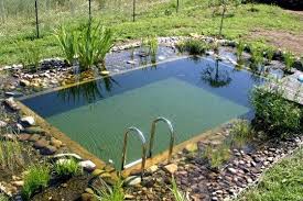 25 Beautifully Natural Pond Swimming Pool Design Ideas Beautifully Design Ideas Natura In 2020 Luxury Pools Backyard Natural Swimming Pools Natural Swimming Ponds