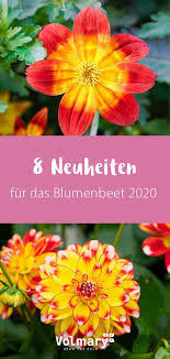 Tolle Neuheiten Fur Das Blumenbeet 2020 Plant Happy Blumenbeet Blumen Sommerblumen