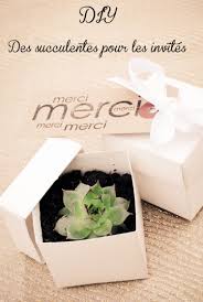 Pertinence prix croissant prix décroissant. Cadeau Original Et Pas Cher Pour Vos Invites Mariage Des Succulentes Mariage Petit Budget Mariage Succulent Idee Cadeau Invites Mariage