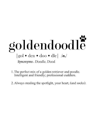 Goldendoodle Definition Print Dog Definition Print Instant Etsy Goldendoodle Doodle Quotes Dog Quotes