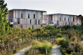 Lucien Rose Complex Atelier Du Pont Architecture Photography Architecture Atelier