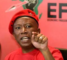 Julius malema, less anc firebrand, more placid farmer. Julius Malema Calls Ramaphosa A Coward Over Land Issue The Citizen