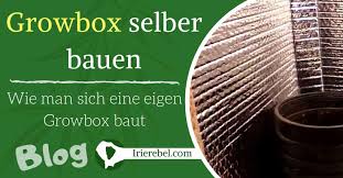 Eine Growbox Selber Bauen Eine Aufbau Anleitung Irierebel