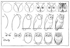 Step By Step Drawing Sheets And Colouring Pages Owls Drawing Drawing Tutorial Drawings